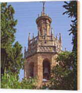 Church Of Santa Maria La Mayor In Ronda Wood Print