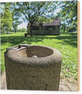 Classic Chicago Park Water Fountain Wood Print