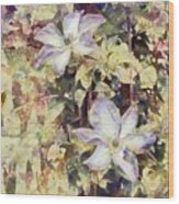 Clematis Clinging To Wall Wood Print