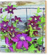 Clematis On Wire Trellis Wood Print