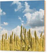 Closeup Of Golden Wheat Ears In Field In Summer Season Wood Print