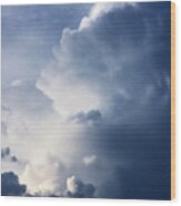 Cloudscape - Aloft Vertical Wood Print