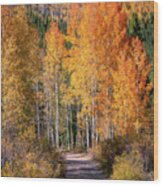 Colorado Fall Colors Wood Print