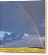 Colorado Rainbow Wood Print