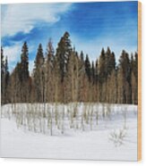 Colorado Mesa Winter Wood Print