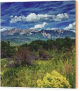 Colorado Wildflowers 3, Oil Painting Ca 2020 By Ahmet Asar Wood Print