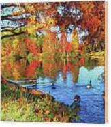 Colorful Autumn On The Lake Ap Wood Print