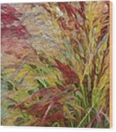 Colorful Blades Of Grass Wood Print