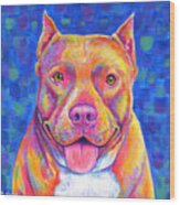 Colorful Pitbull Dog Wood Print