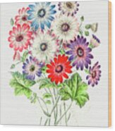 Colorful Chrysanthemums Wood Print