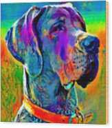 Colorful Great Dane Portrait - Digital Painting Wood Print