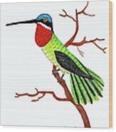 Colorful Hummingbird Day 4 Challenge Wood Print