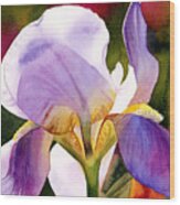 Colorful Iris Wood Print