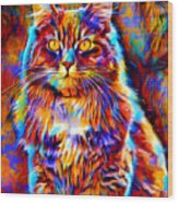 Colorful Maine Coon Cat Sitting - Digital Painting Wood Print