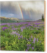Colorful Nevada Panoramic Wood Print