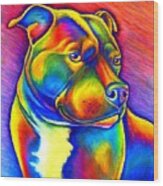 Colorful Rainbow Staffordshire Bull Terrier Dog Wood Print