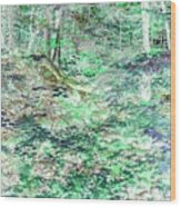 Shades Of Green Woodlands Wood Print