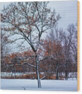 Colors Of Winter Wood Print
