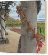 Columns With Grapevine Wood Print