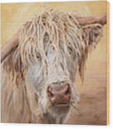 Comb Over - Highland Cow Painting Wood Print