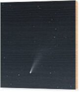 Comet Neowise Wood Print