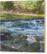 Conasauga Waterfall 9 Wood Print