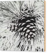 Cone Cluster Wood Print