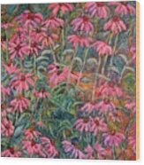 Coneflowers Wood Print