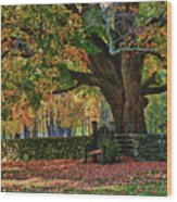Connecticut Fall Colors Wood Print