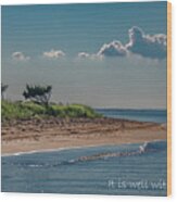 Contentment In Chincoteague Wood Print