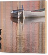 Cormorant And Boats Wood Print