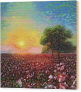 Cotton Field Sunset Wood Print