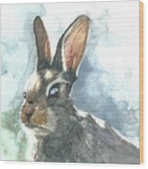 Cottontail Rabbit Wood Print