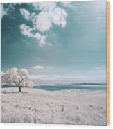 Cottowood Tree Infrared Wood Print