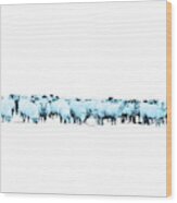 Counting Blue Sheep For Boys Room Wood Print