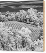 Country Field In Infrared Wood Print
