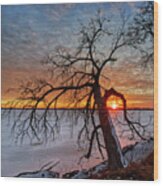 Cradled - Sunset Framed By Cottonwood Tree On Lower Yahara River Trail At Lake Waubesa Wood Print