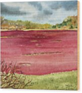 Cranberry Bog On Cape Cod Wood Print
