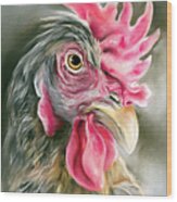 Cream Legbar Chicken Portrait Wood Print