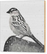 Crested Sparrow In The Snow-bird Painting Wood Print