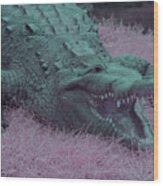Crocodile In Infrared Wood Print