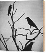 Crow Birds On Trees Bird 89 Wood Print