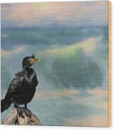 Crowned Cormorant Wood Print