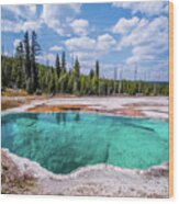 Crystalline Water In Yellowstone Wood Print