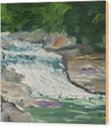 Cullasaja River Rapids Wood Print