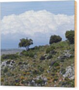 Cumulus Clouds - Sierra Nevada Wood Print