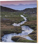 Curved River.. Sierra Nevada National Park. At Sunset Wood Print