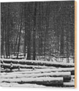 Cut Logs In Simcoe County Forest Wood Print