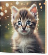 Cute Kitten Portrait. Wood Print