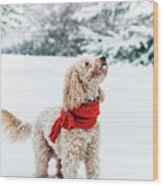 Cute Little Dog With Red Scarf Playing In Snow. Wood Print